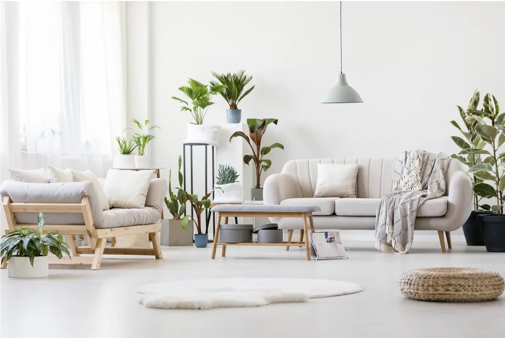 Indoor plants are a great way to purify the air in your home. They can also help improve your mood and mental well-being.
