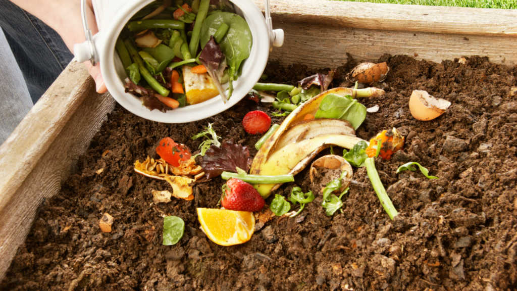 How To Compost: Turning Kitchen Scraps into Gold